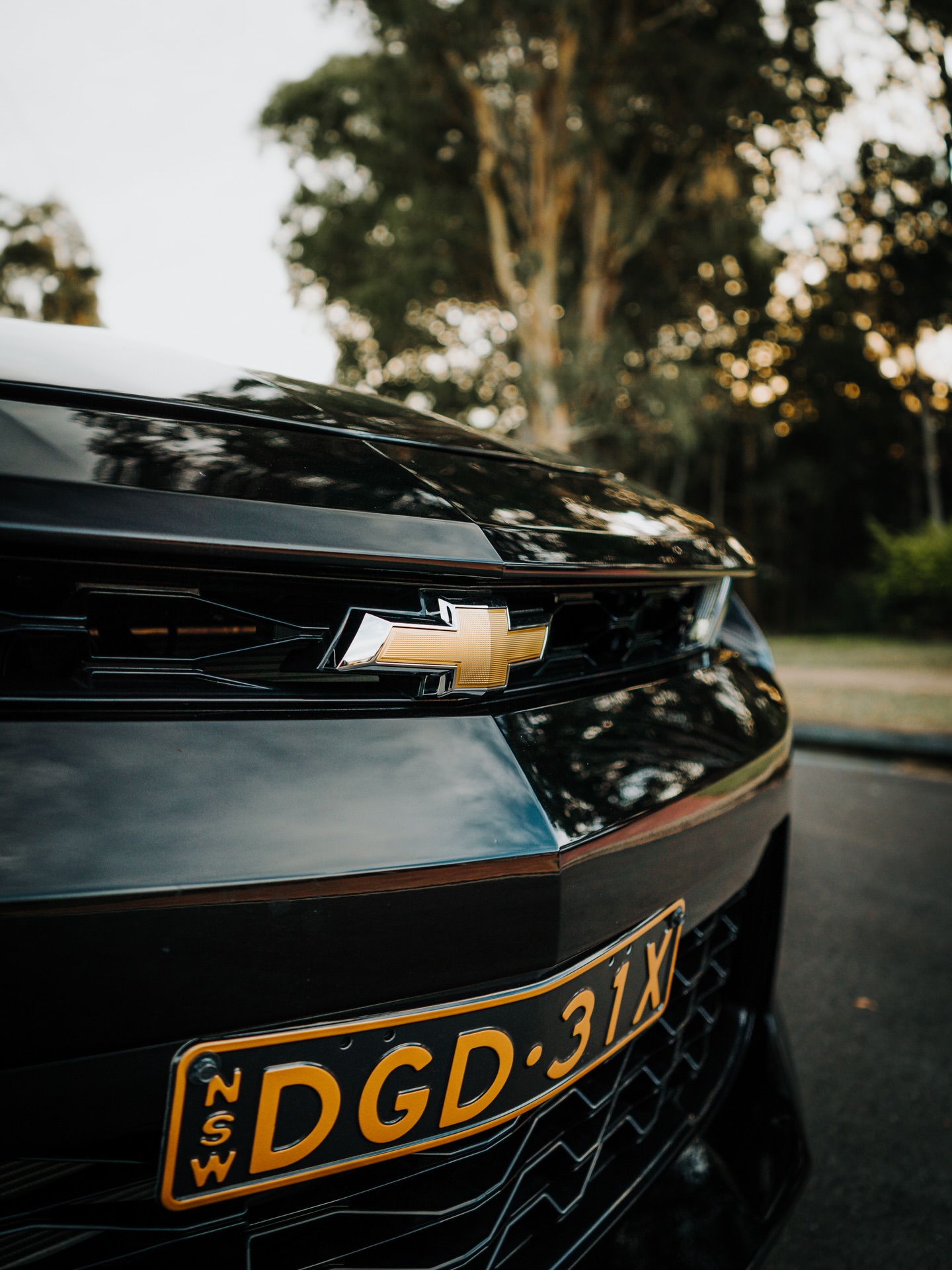 Chevrolet Camaro SS detail 3