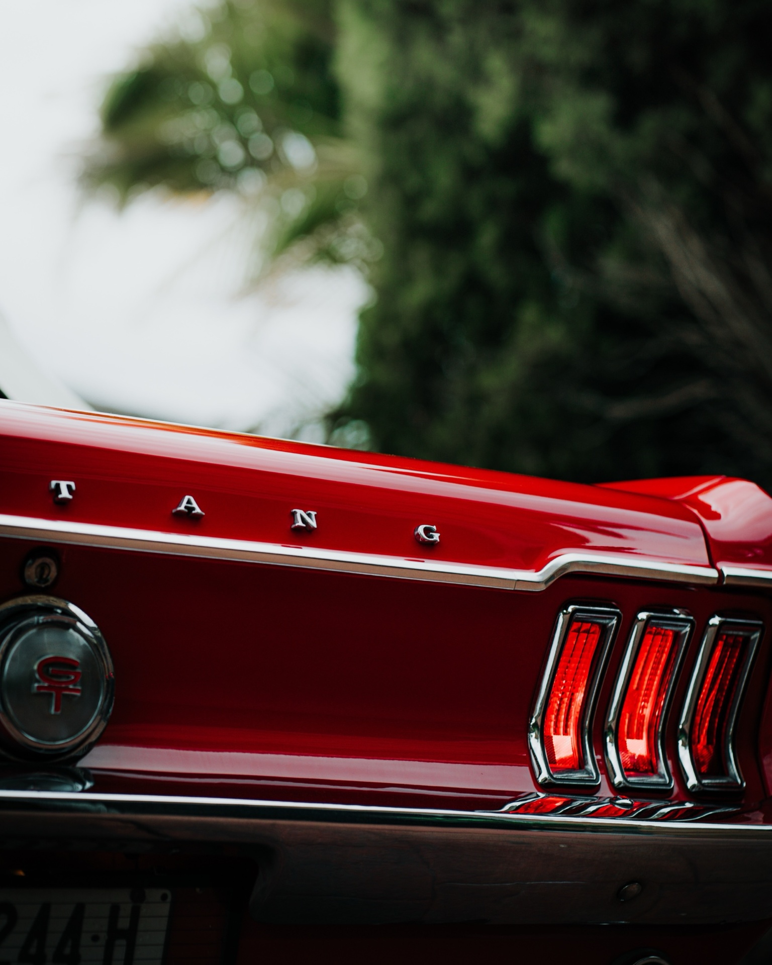 1968 Ford Mustang GT detail 3